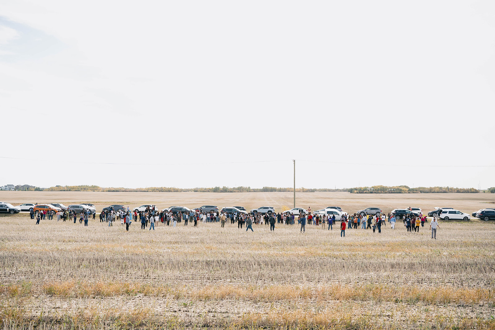 legacy building site